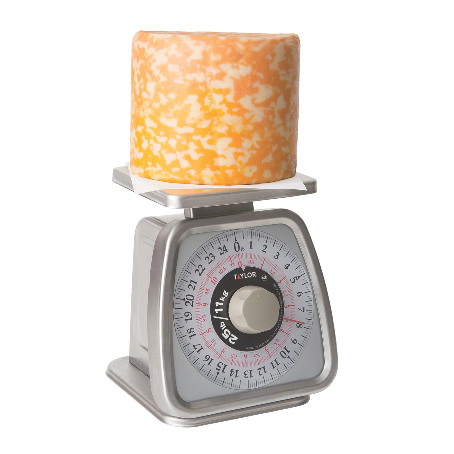 TS25KL S/S 25 Lb. Rotating Dial Portion Scale