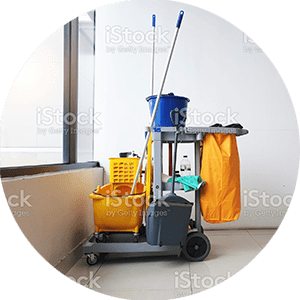 Maintenance and Janitorial Expertise