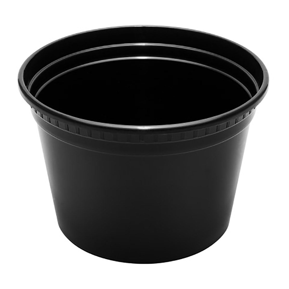 Deli Containers with Lids - 16 oz., 240 Containers/Lids