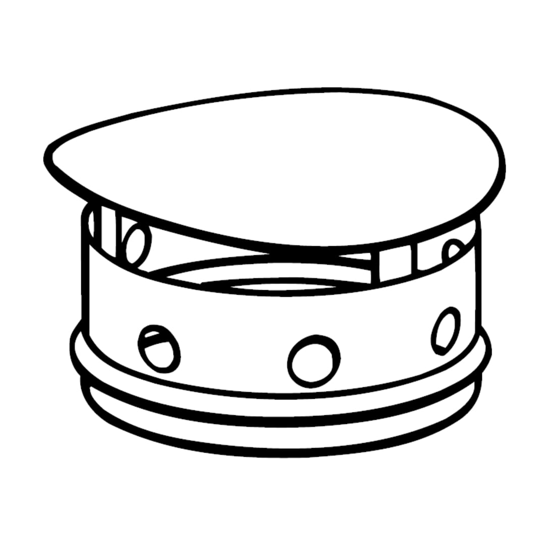 Salvajor DSS Domed Silver Saver