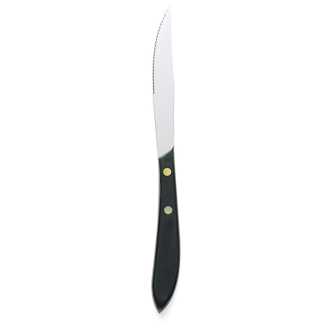 Walco 870527 Pointed Tip Steak Knife with Plastic Handle - Dozen