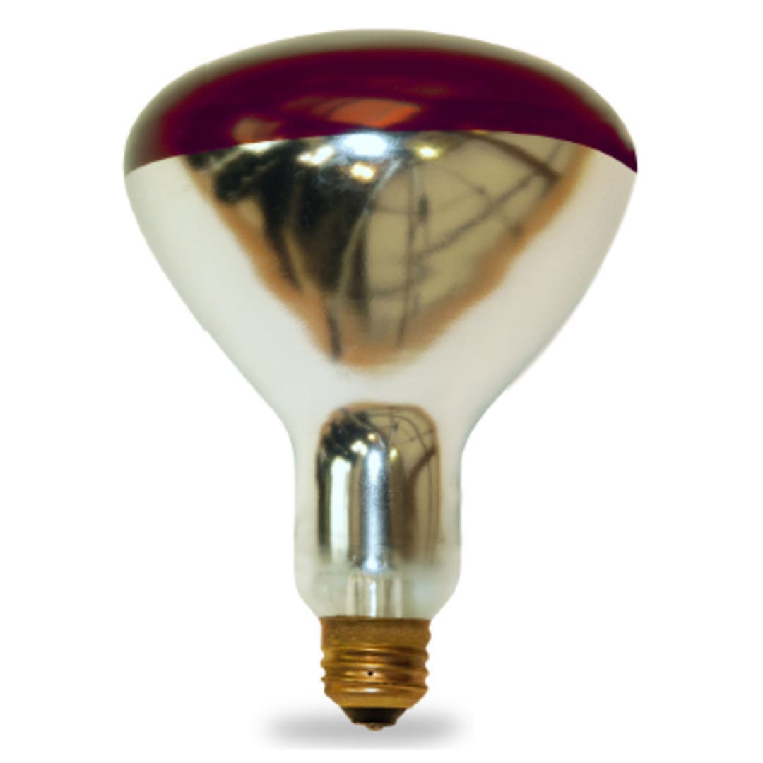Shat-R-Shield® 01713I Incandescent 250W Red Heat Lamp