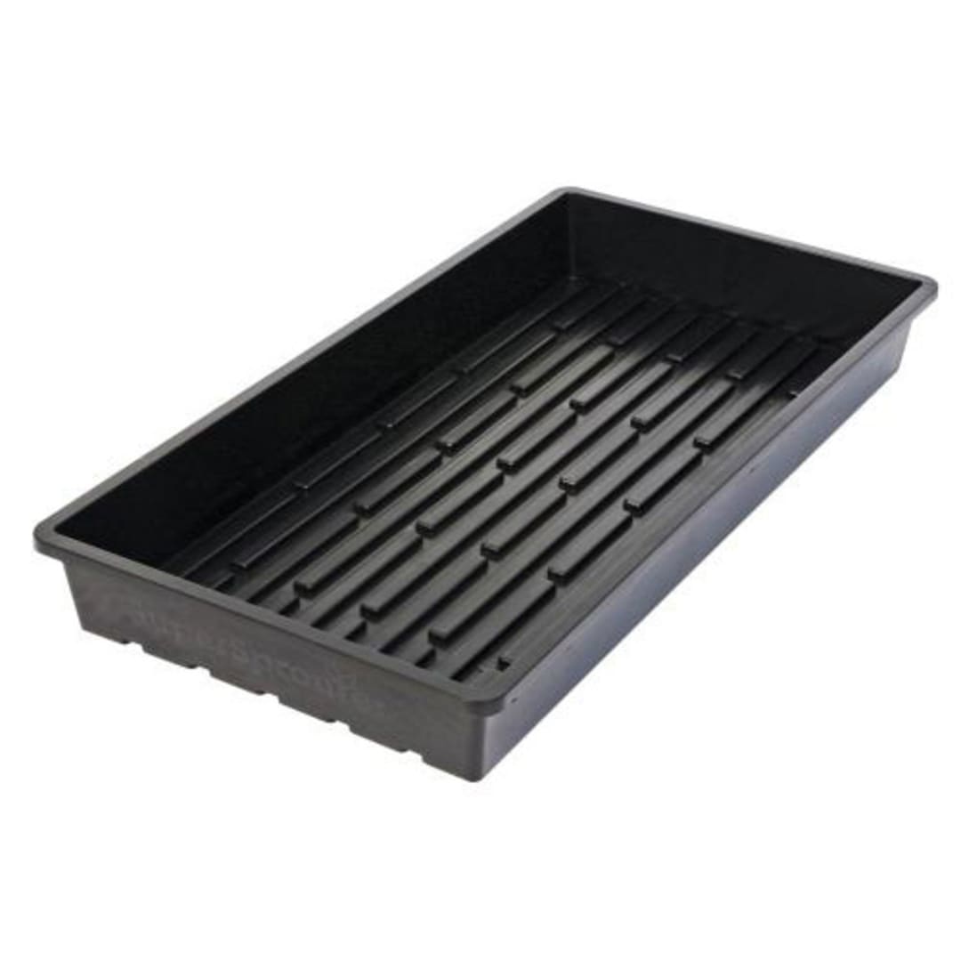 Super Sprouter Quad Thick 10 x 20 Tray - No Hole