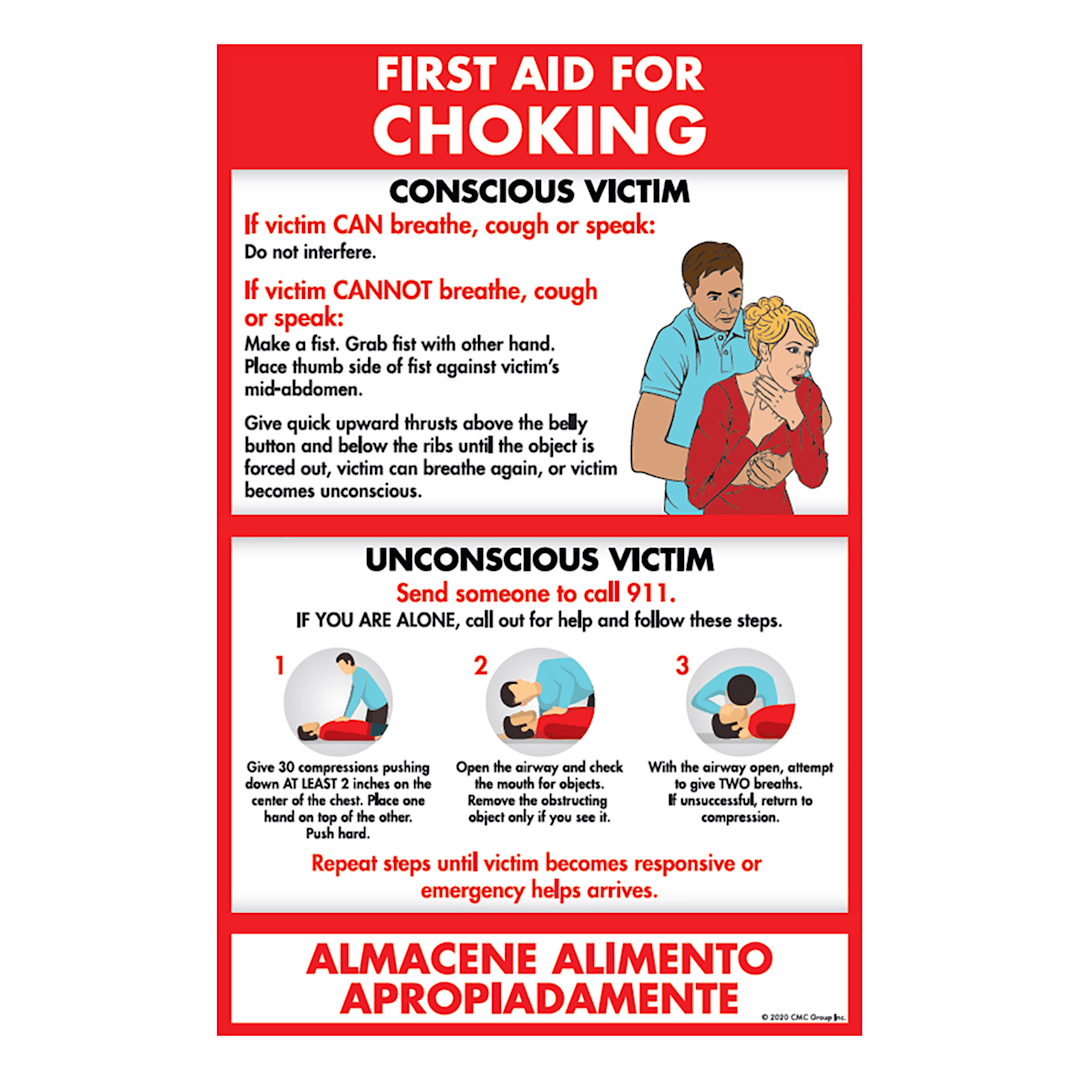 DayMark® 119586 11" x 17" Choking First Aid Poster