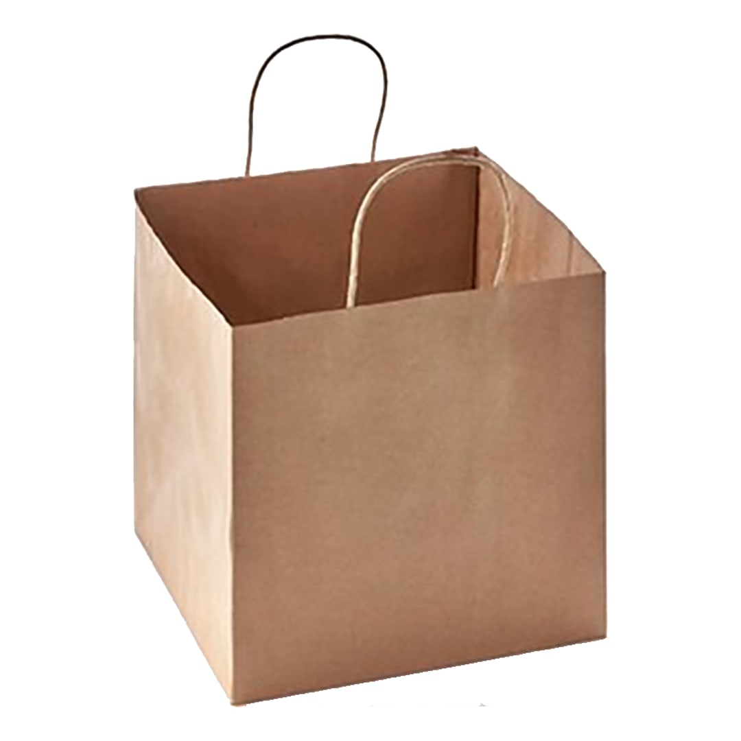 Darling Foodservice Kraft Twist Handle 12 x 10 Shopper Bag