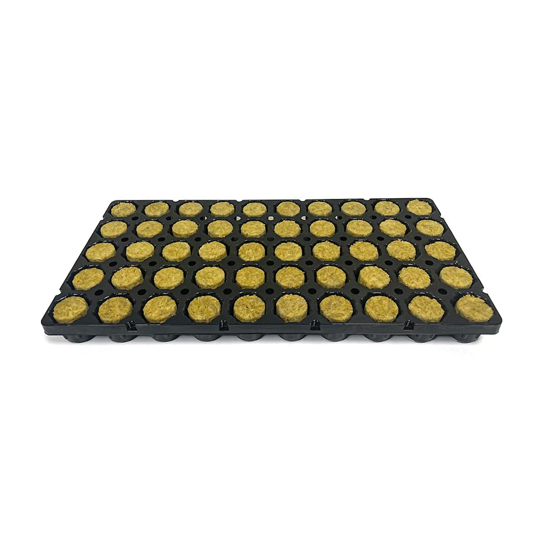 Morr GRRR102 50 Cell Tray 1.5" Plug Redrock - 1300 / CS