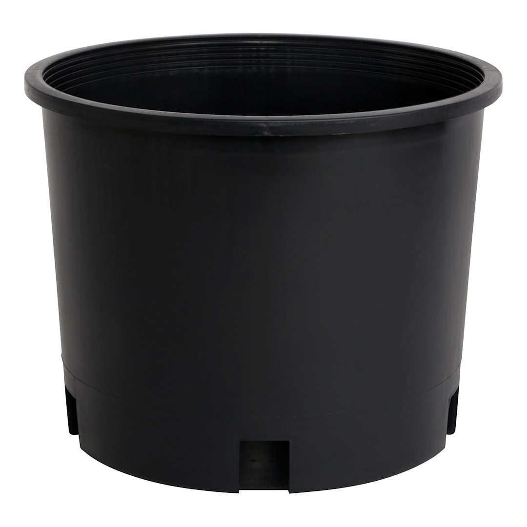 Premium Squat 3 gallon Nursery Pot