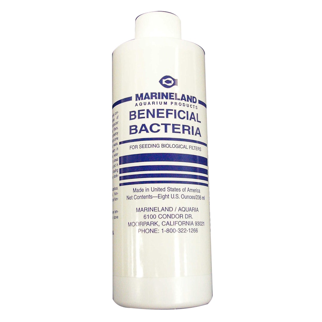 Marineland Aquarium CS1569 8 Oz. Liquid Bacteria For Lobster Tank