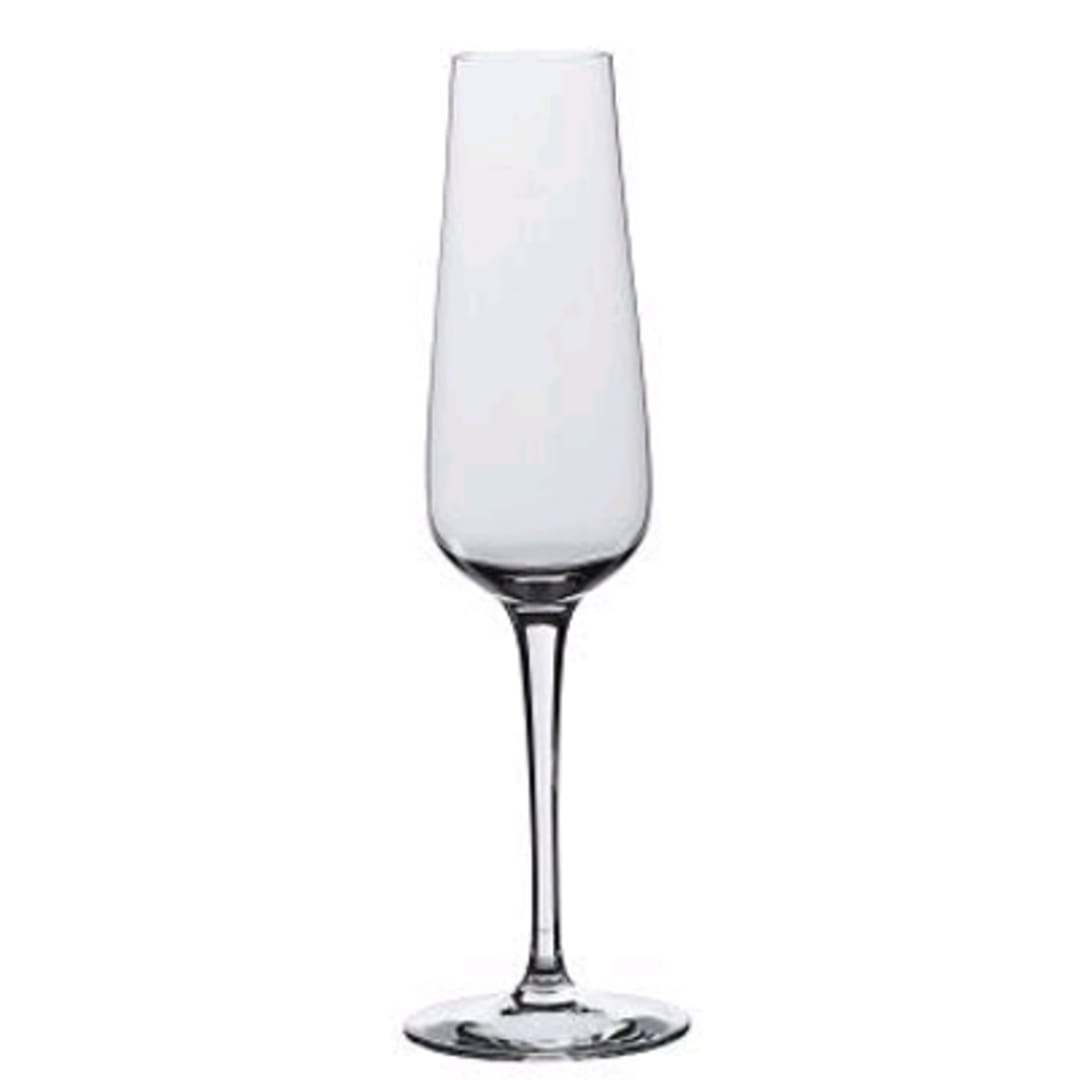 Rona 4813R284 Invitation 6 Oz Champagne Glass