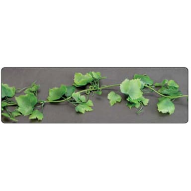 Supermarket Merchandising Ivy Garland