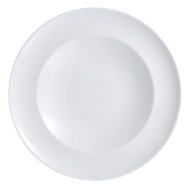 Arcoroc R0901 Vintage White Porcelain 12-1/4" Plate