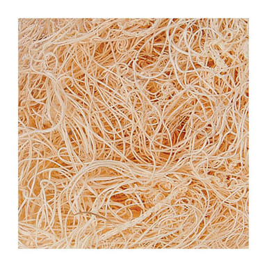 Willow Specialties 1WOOD 10 Lb. Shredded Wood Excelsior - 1 / BX