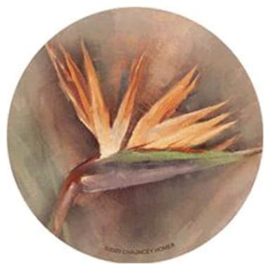 Thirstystone TSCH24 Bird of Paradise Sandstone Coaster - 4 / ST