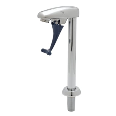 T & S Brass B-1210 Deck Mounted Pedestal Type Glass Filler