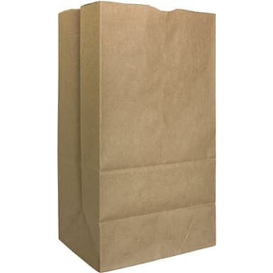 AJM Packaging SQ40NP5C Kraft Paper 20 lb. Grocery Bag