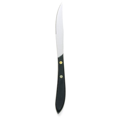 Walco 870527 Pointed Tip Steak Knife with Plastic Handle - Dozen