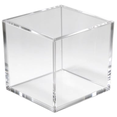Darling Foodservice Acrylic 10" 5-Sided Cube