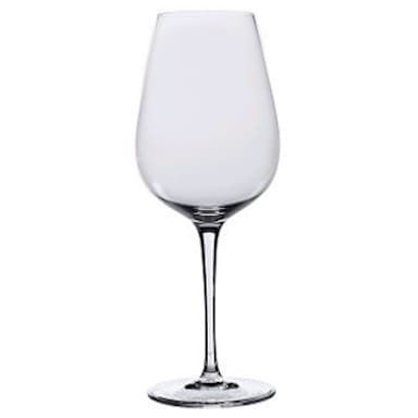 Rona 4813R281 Invitation 15 Oz Wine Glass