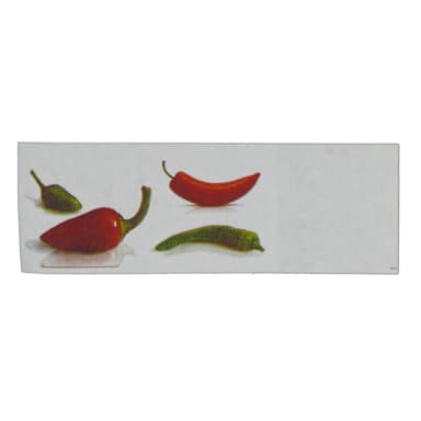 Darling Foodservice Southwest Design Napkin Band - 2000 / BX