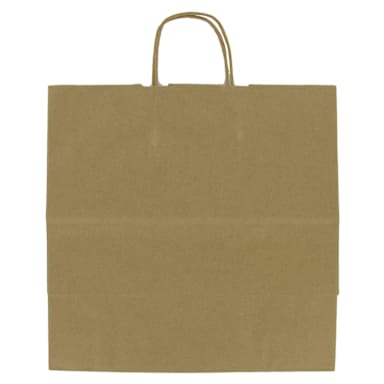 Darling Foodservice 8" x 4.75" x 10.25" Handled Brown Bag