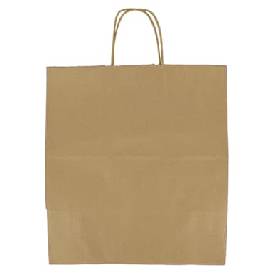 Darling Foodservice 14 x 15.25 Large To-Go Bag w / Handles