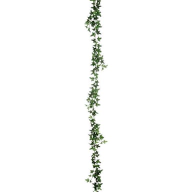 Select Artificials, Inc. Needle Point Ivy 6' Garland