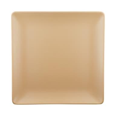 EGS ECO1010SQ-PB Greenovations Paper Bag 10" Square Plate- 6 / PK