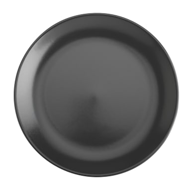 Hall® China 303100AFCA Foundry Round 10-3/8" Plate