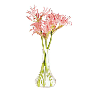 Cambro BV6CW135 Clear 6" Plastic Bud Vase