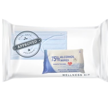 Erwyn Products 930005 Face Mask and Sanitizing Wipes Kit