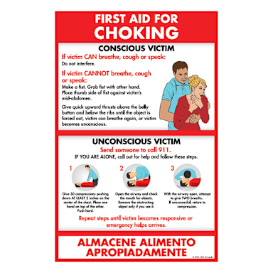 DayMark® 119586 11" x 17" Choking First Aid Poster