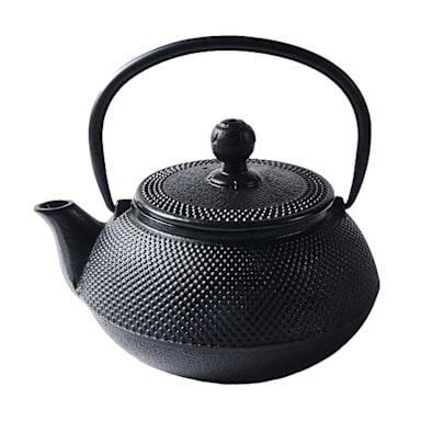 Korin Japanese Trading TPI-TB1/05 Black Arare Cast Iron 22 Oz. Teapot