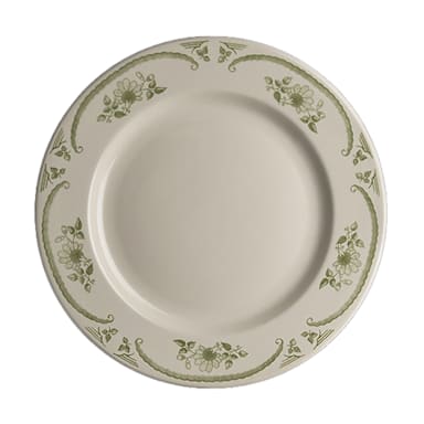 Homer Laughlin HL2069885 American Rose Moss 9.63" Plate