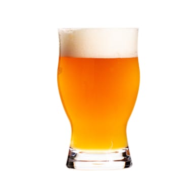 Hospitality Brands HUF099-012 Revolution 16 Oz. Beer Glass