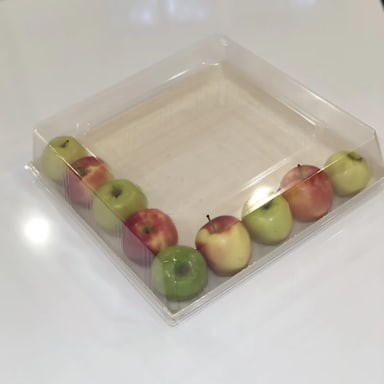 VerTerra TG-LD-16X16 Clear Lid for TG-TR-16X16
