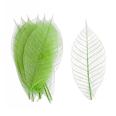 Korin PA-101-13 Green 5" Watermarked Leaf Décor
