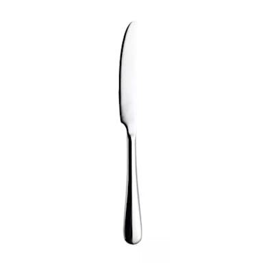 Arcoroc EQ293 Burlington 18/10 9-1/4" Table Knife - Dozen