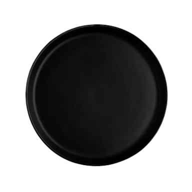 Santa Anita FP245 Reflections Onyx 9.5" Plate