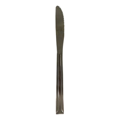 Darling Foodservice Dominion 18/0 8" Dinner Knife - Dozen