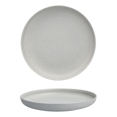 Fortessa 3300.70198.1GY Paleo Gray Ash 11" Plate