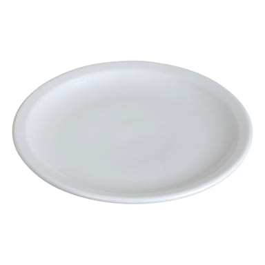 Darling Foodservice Bright White Narrow Rim 9-1/2" Plate