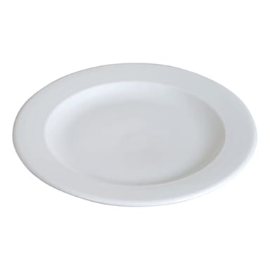 Darling Foodservice Bright White Wide Rim 10-1/2" Plate