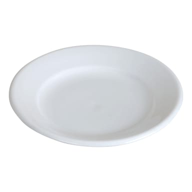 Darling Foodservice Bright White Wide Rim 6-1/4" Plate