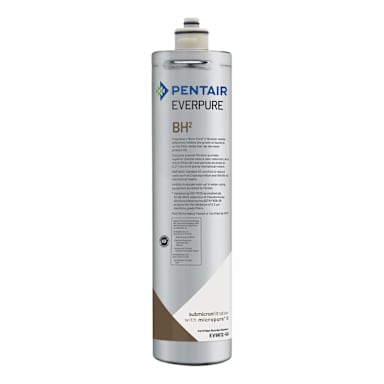 Everpure EV961250 BH2 Water Filter Cartridge