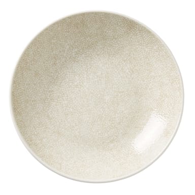 Steelite 17680569 Ink Crackle Taupe 10" Plate