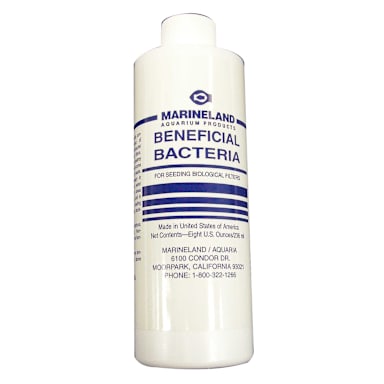 Marineland Aquarium CS1569 8 Oz. Liquid Bacteria For Lobster Tank