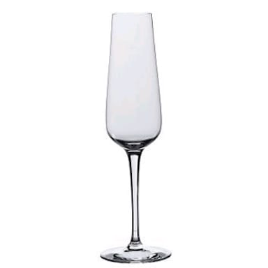 Rona 4813R284 Invitation 6 Oz Champagne Glass