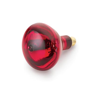 Cres Cor® 0820-001 Red Infrared Bulb for Heat Lamps