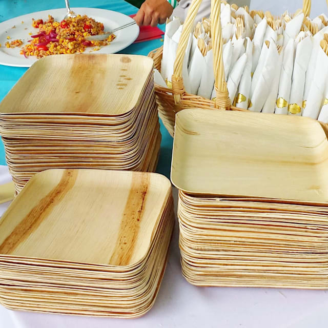 Eco-Friendly Disposables