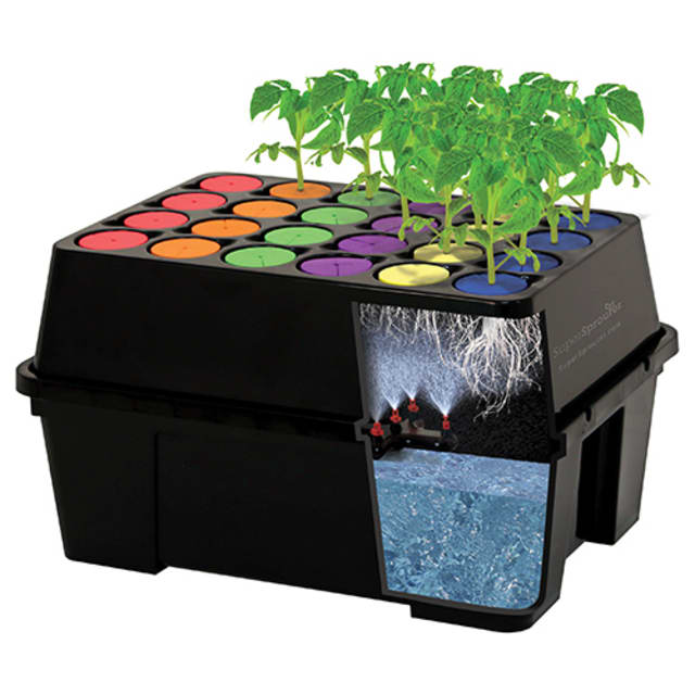Plant Nutrition and Propagation